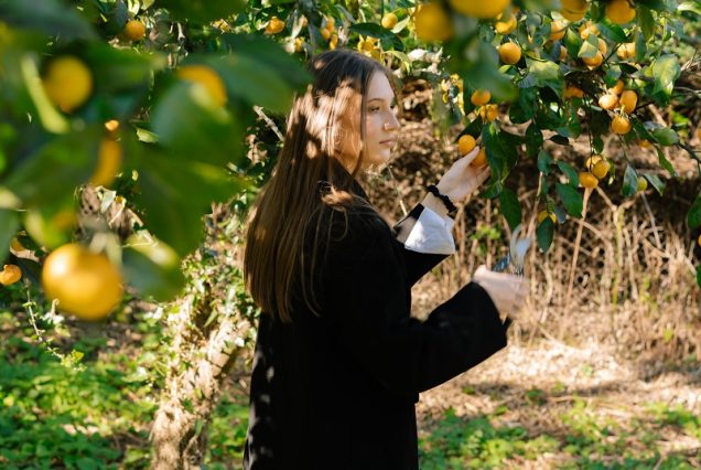 Мандариновый рай в Абхазии: Сухум, Новый Афон, Кындыг, о. Рица