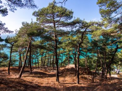 Путешествие по твоему сценарию!